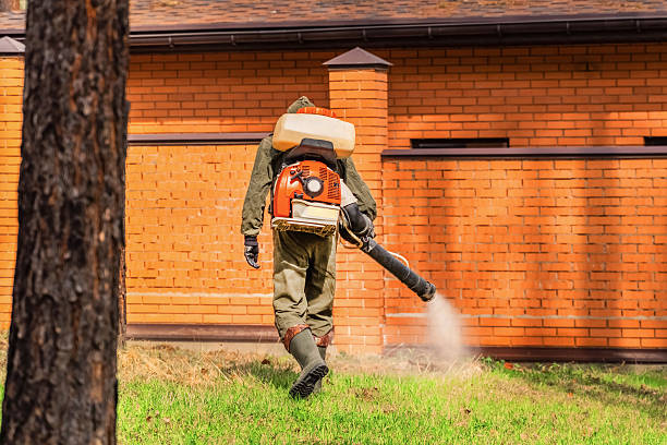 Trusted Cockroach Control service in Canton Valley, CT - Nex Pest Control
